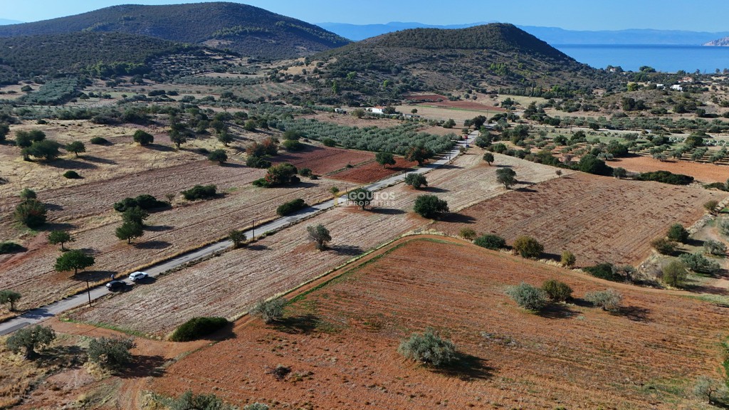 Οικόπεδο 8.599 τ.μ. προς πώληση, Λάκκες Κρανιδίου