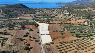 Οικόπεδο 8.599 τ.μ. για πώληση