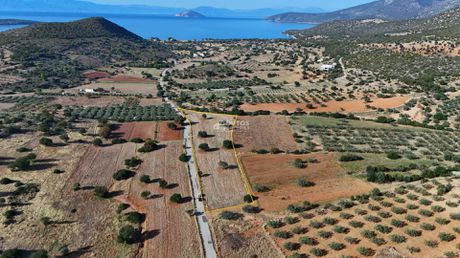 Οικόπεδο 8.599τ.μ. για πώληση-Κρανίδι