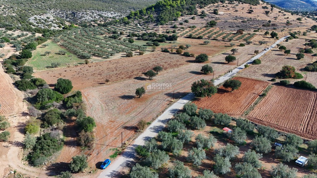 Οικόπεδο 8.599 τ.μ. προς πώληση, Λάκκες Κρανιδίου