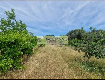 Αγροτεμάχια 1.950τ.μ. για πώληση-Σπάτα