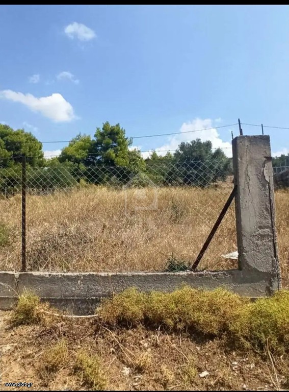 Αγροτεμάχια 515 τ.μ. προς πώληση, Μαλακώντα