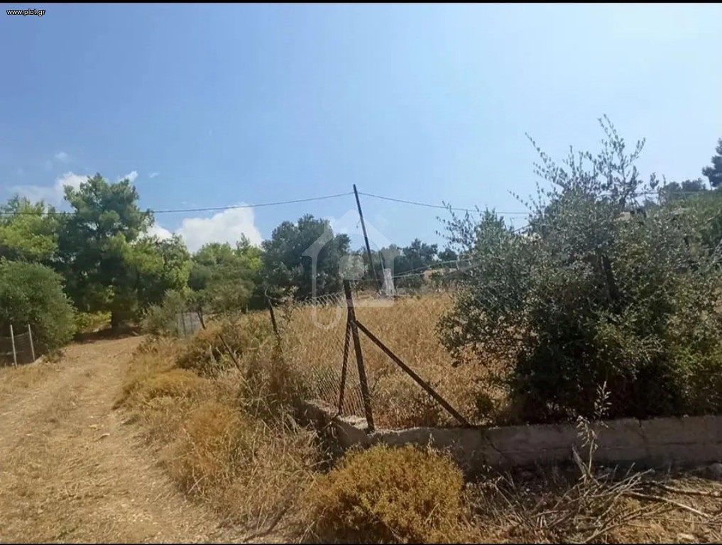Αγροτεμάχια 515 τ.μ. προς πώληση, Μαλακώντα