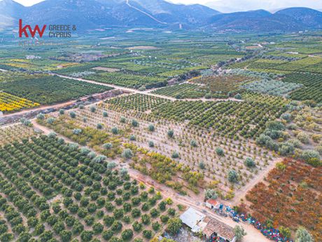 Parcel 10.893sqm for sale-Lerna