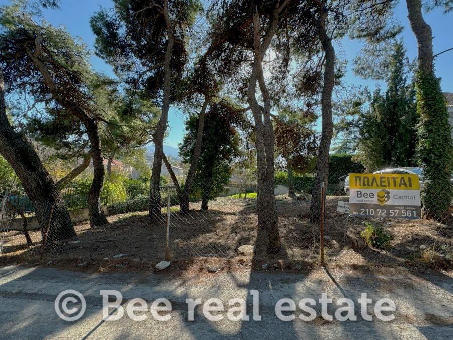 Οικόπεδο 628 τ.μ. πρός πώληση, Αθήνα - Βόρεια Προάστια, Άγιος Στέφανος