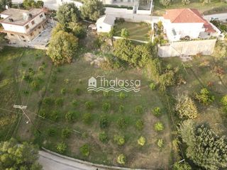 Οικόπεδο 1.288,94 τ.μ. για πώληση