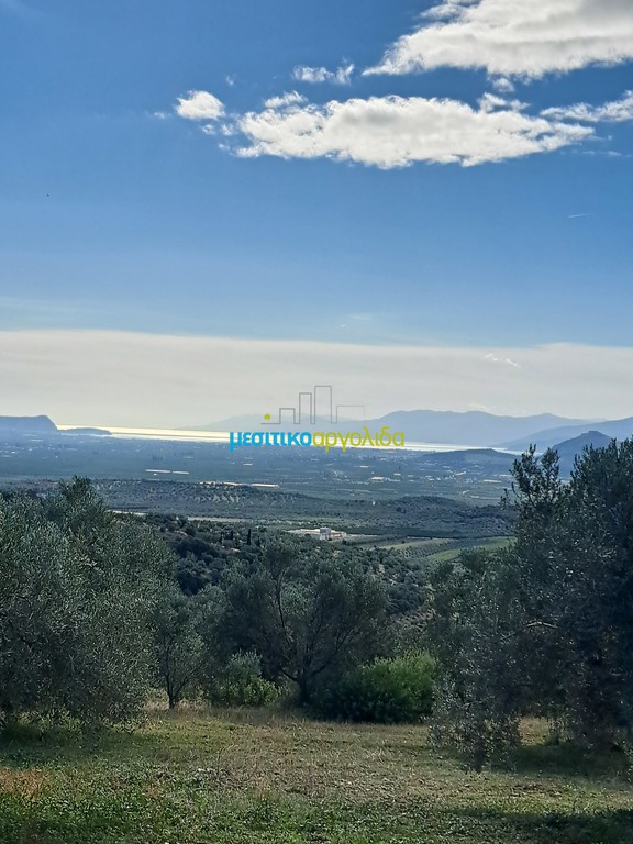Οικόπεδο 7.866,49 τ.μ. προς πώληση, Φίχτι