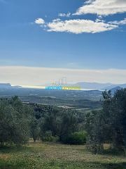 Οικόπεδο 7.866,49 τ.μ. προς πώληση, Αργολίδα, Μυκήνες-thumb-4