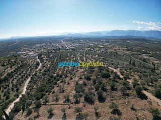 Οικόπεδο 7.866,49 τ.μ. προς πώληση, Αργολίδα, Μυκήνες-thumb-5
