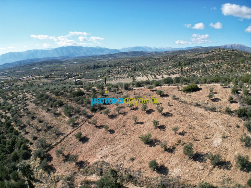 Οικόπεδο 7.866,49 τ.μ. προς πώληση, Φίχτι