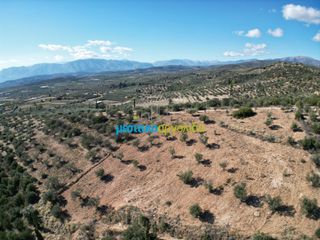 Οικόπεδο 7.866,49 τ.μ. προς πώληση, Αργολίδα, Μυκήνες-thumb-1