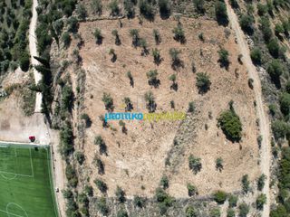 Οικόπεδο 7.866,49 τ.μ. προς πώληση, Αργολίδα, Μυκήνες-thumb-7