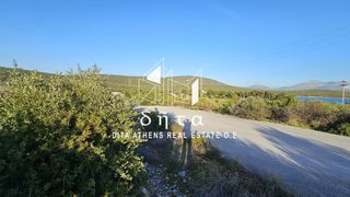 Οικόπεδο 608 τ.μ. για πώληση, Εύβοια, Ταμύνες-thumb-1