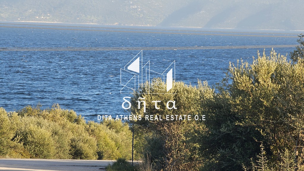 Οικόπεδο 608 τ.μ. για πώληση, Εύβοια, Ταμύνες