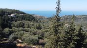 Parcel 1.730sqm for sale-Lefkada » ΚArias