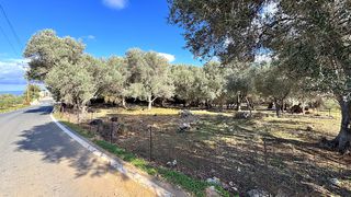 Οικόπεδο 800 τ.μ. για πώληση