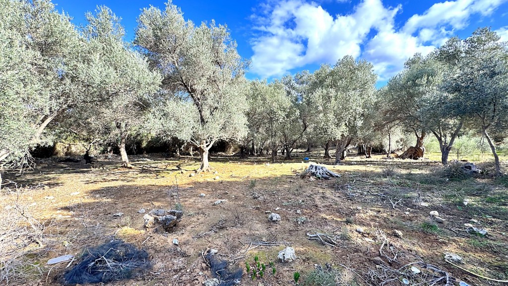 Οικόπεδο 800 τ.μ. πρός πώληση, Ν. Ρεθύμνου, Αρκάδι