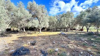 Οικόπεδο 800 τ.μ. για πώληση, Ν. Ρεθύμνου, Αρκάδι-thumb-4