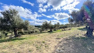 Οικόπεδο 4.351 τ.μ. για πώληση, Ν. Ρεθύμνου, Αρκάδι-thumb-21