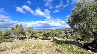 Οικόπεδο 4.351 τ.μ. για πώληση, Ν. Ρεθύμνου, Αρκάδι-thumb-9