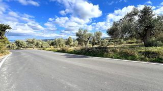 Οικόπεδο 4.351 τ.μ. για πώληση, Ν. Ρεθύμνου, Αρκάδι-thumb-8