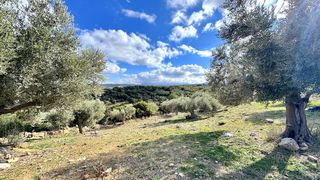 Οικόπεδο 4.351 τ.μ. για πώληση, Ν. Ρεθύμνου, Αρκάδι-thumb-20