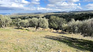 Οικόπεδο 4.351 τ.μ. για πώληση, Ν. Ρεθύμνου, Αρκάδι-thumb-17