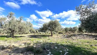 Οικόπεδο 4.351 τ.μ. για πώληση, Ν. Ρεθύμνου, Αρκάδι-thumb-15