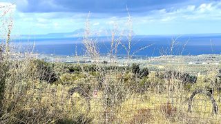 Οικόπεδο 4.351 τ.μ. για πώληση
