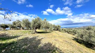 Οικόπεδο 4.351 τ.μ. για πώληση, Ν. Ρεθύμνου, Αρκάδι-thumb-19