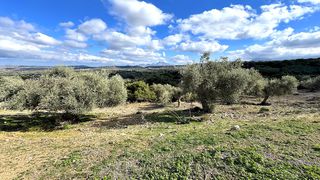 Οικόπεδο 4.351 τ.μ. για πώληση, Ν. Ρεθύμνου, Αρκάδι-thumb-18