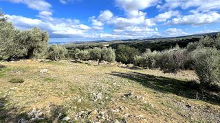 Οικόπεδο 4.351 τ.μ. για πώληση, Ν. Ρεθύμνου, Αρκάδι-thumb-11