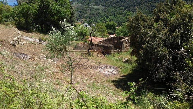 Οικόπεδο 872 τ.μ. πρός πώληση, Μαγνησία, Σηπιάδα