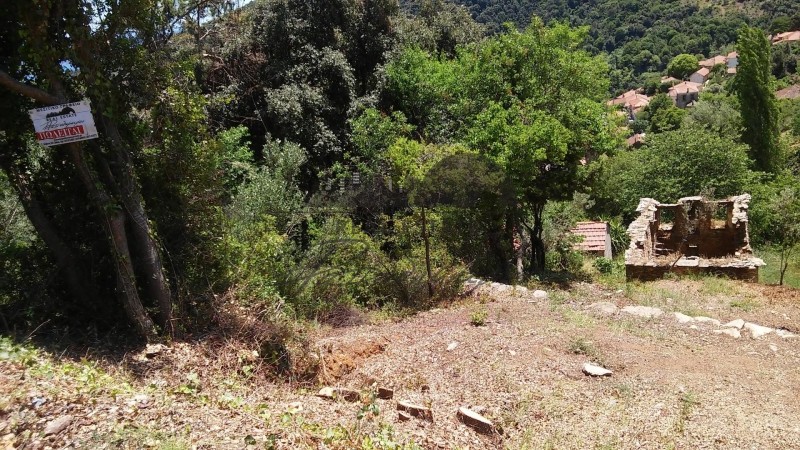 Οικόπεδο 872 τ.μ. πρός πώληση, Μαγνησία, Σηπιάδα