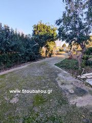 Διαμέρισμα 95 τ.μ. για ενοικίαση, Ν. Ηλείας, Ανδραβίδα-thumb-9