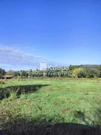 Αγροτεμάχια 21.268 τ.μ. για πώληση, Ν. Ηλείας, Πύργος