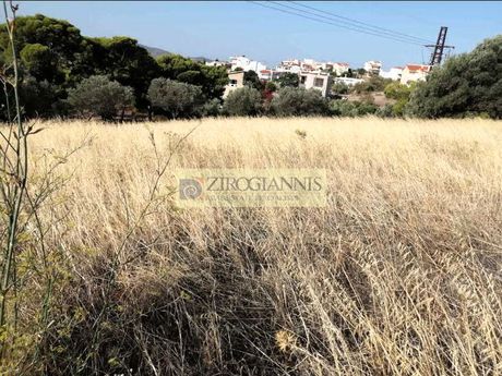 Αγροτεμάχια 19.000τ.μ. για πώληση-Άγιος κωνσταντίνος