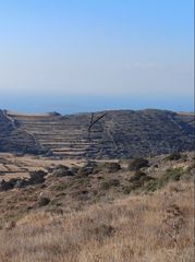 Οικόπεδο 4.250 τ.μ. για πώληση, Κυκλάδες, Πάρος-thumb-1