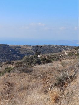 Οικόπεδο 4.250τ.μ. για πώληση-Πάρος