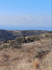 Οικόπεδο 4.250 τ.μ. για πώληση