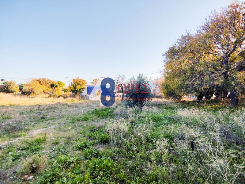 Οικόπεδο 2.475,92 τ.μ. προς πώληση, Ομηρούπολη