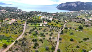 Οικόπεδο 6.300 τ.μ. για πώληση, Αργολίδα, Ερμιόνη-thumb-11