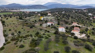 Οικόπεδο 6.300 τ.μ. για πώληση, Αργολίδα, Ερμιόνη-thumb-23