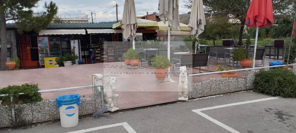 Επιχείρηση 100 τ.μ. πρός πώληση, Ν. Τρικάλων, Τρίκαλα