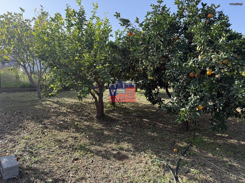 Οικόπεδο 308 τ.μ. προς πώληση, Άβυθος