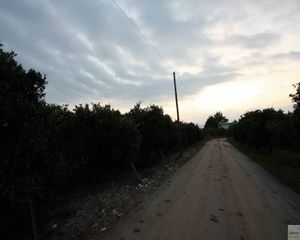 Οικόπεδο 544 τ.μ. για πώληση, Αργολίδα, Άργος-thumb-1