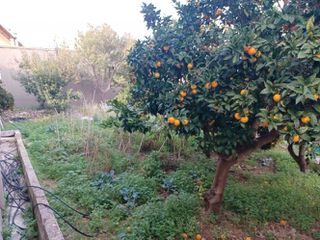 Οικόπεδο 235 τ.μ. προς πώληση, Αργοστόλι-thumb-9