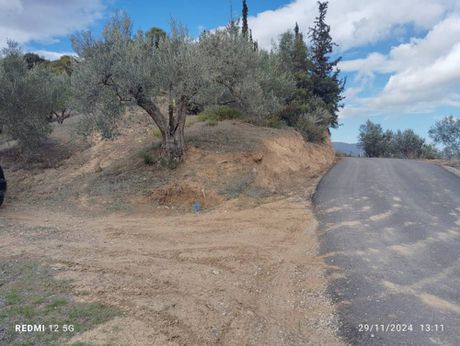 Parcel 27.900sqm for sale-Sikiona » Mpozikas