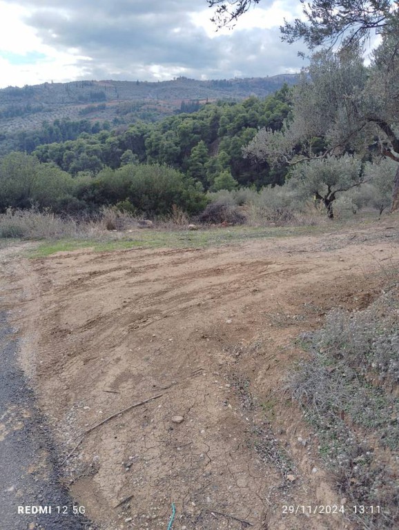 Αγροτεμάχια 27.900 τ.μ. πρός πώληση, Κορινθία, Σικυώνα
