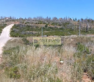 Land plot 2.018sqm for sale-Afidnes